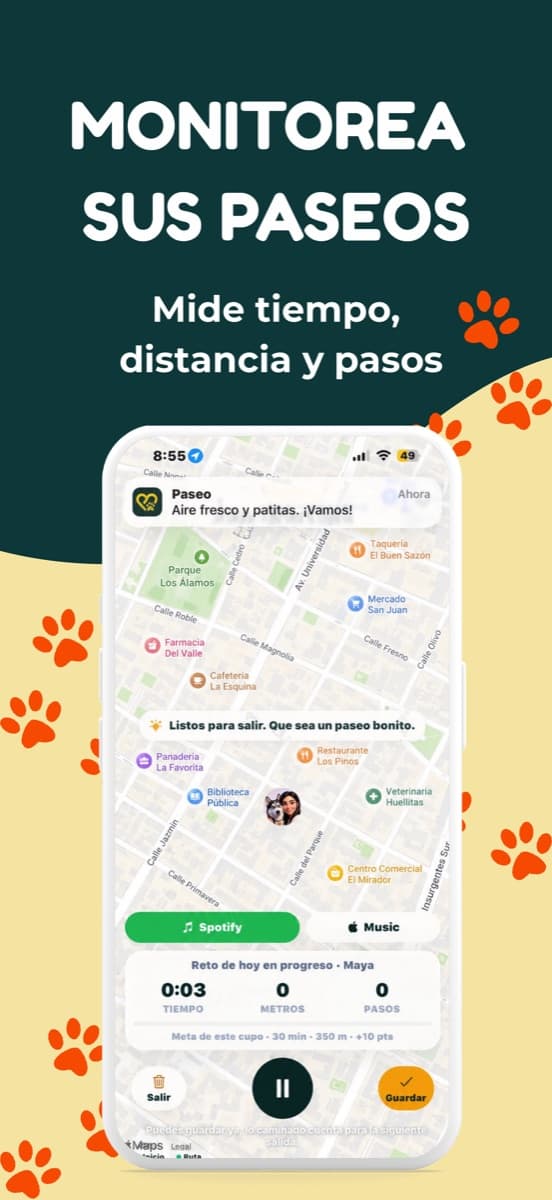 Paseos en LynkaPet